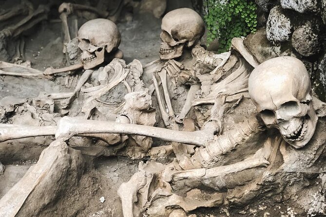 Guided Tour of Herculaneum With Lunch and Entrance Included - Health and Safety Considerations