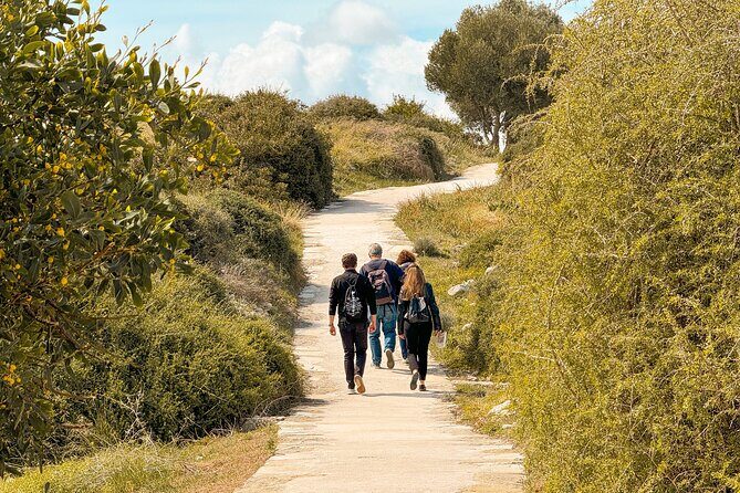 Guided Tour of Limassol with Kourion and Kolossi Castle - Transportation and Group Size