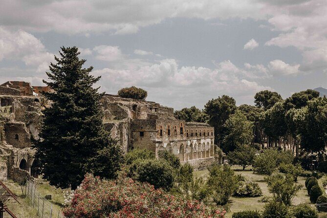 Guided Tour of Pompei, Lunch and Wine from Sorrento - An In-Depth Look at the Tour Experience