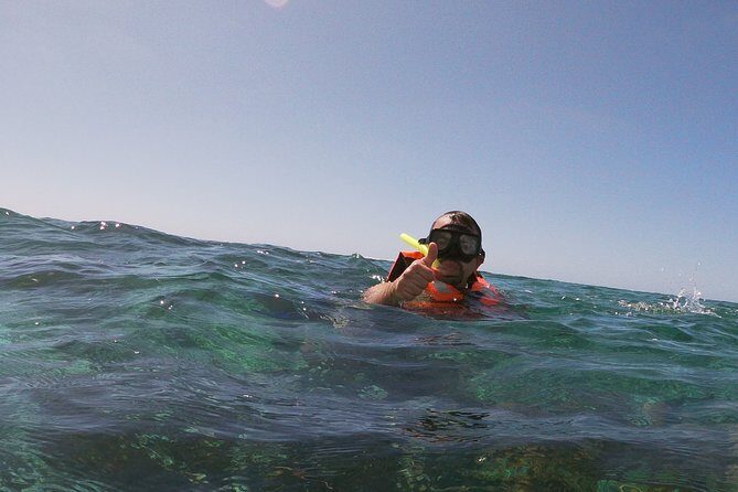 Guided Tour of Puerto Morelos Reefs with Snorkeling Experience - Exploring the Itinerary: What You Can Expect