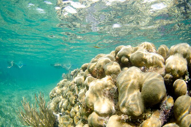 Guided Tour of Puerto Morelos Reefs with Snorkeling Experience - Who Should Consider This Tour?