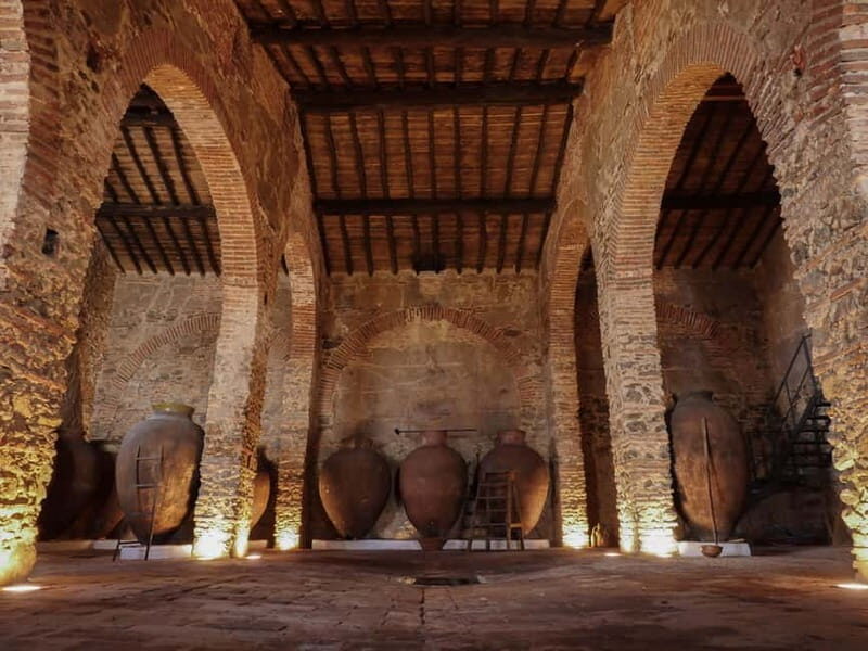 Guided tour of the Cella Vinaria Antiqua Wine Cellar Museum - Key Points