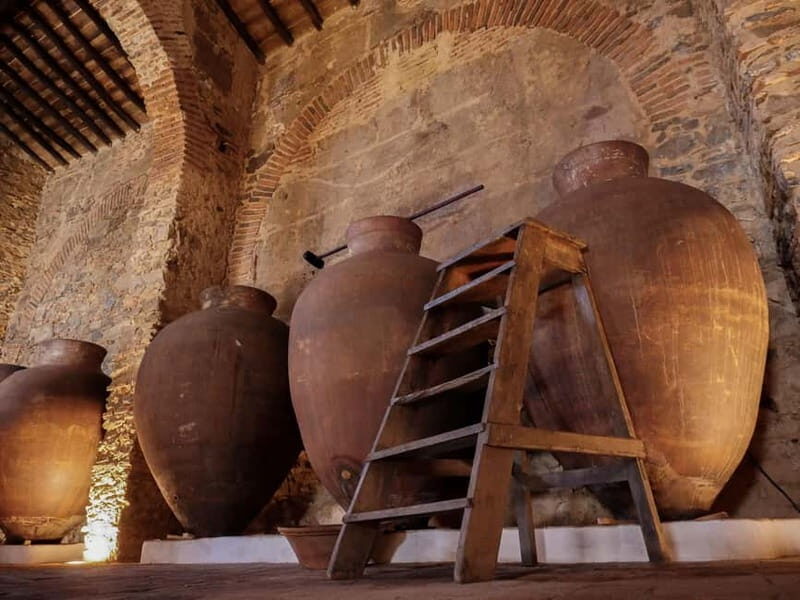 Guided tour of the Cella Vinaria Antiqua Wine Cellar Museum - An In-Depth Look at the Cella Vinaria Antiqua Experience