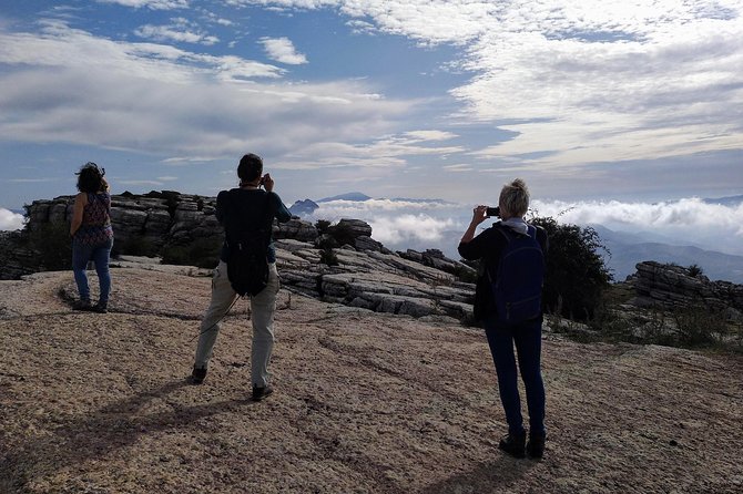 Guided Tour of the Dolmens and El Torcal - Pricing and Cancellation