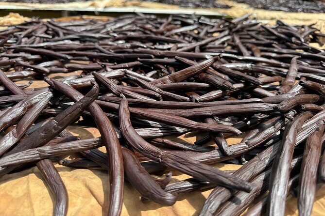 Guided tour of the island and its escapades in Tahaa by Quad / ATV - FAQ