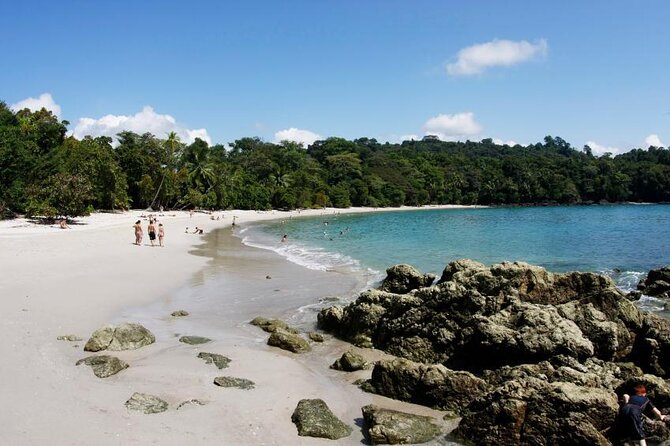 Guided Tour of the National Park Manuel Antonio - Good To Know