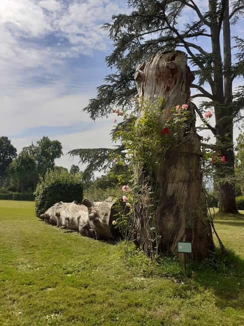 Guided tour of the park of Villa Reale di Marlia - Exploring the Heart of Tuscany’s Garden Heritage