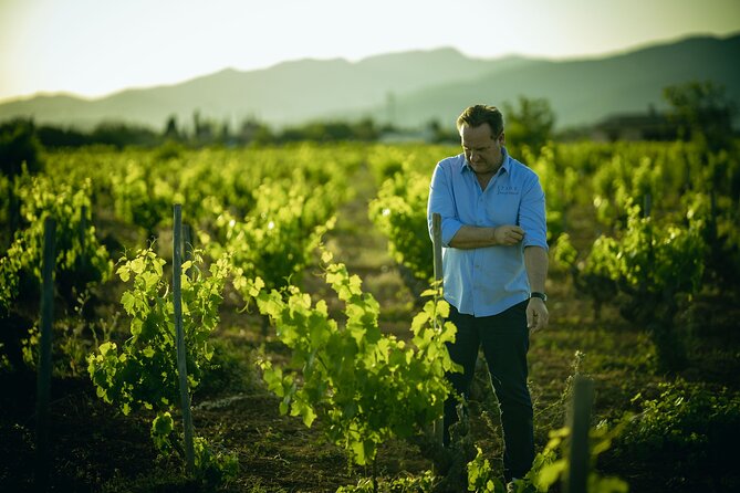 Guided Tour of the Winery With Wine Tasting, Vineyard and Much More! - Meeting and Location