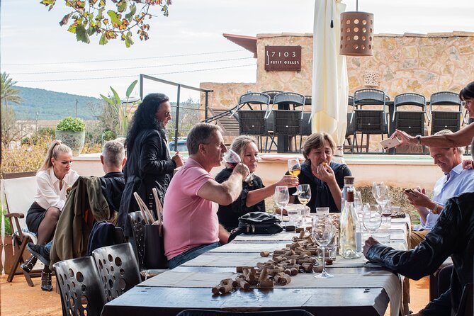 Guided Tour of the Winery With Wine Tasting, Vineyard and Much More! - Grape Varieties and Production