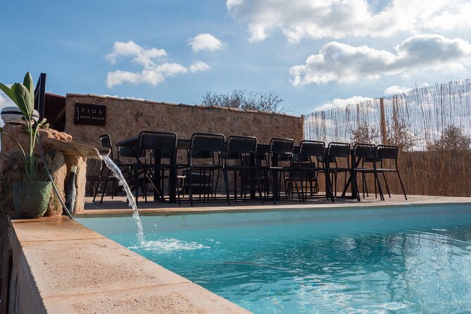 Guided Tour of the Winery With Wine Tasting, Vineyard and Much More! - Tasting and Tapas