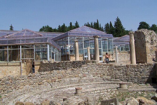 Guided Tour of Villa Romana Del Casale With Skip the Line - Accessibility and Participation Details