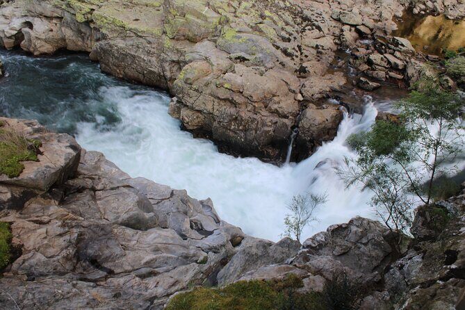 Guided Tour Passadiços do Paiva and Suspension Bridge 516 Arouca - Practical Details That Matter