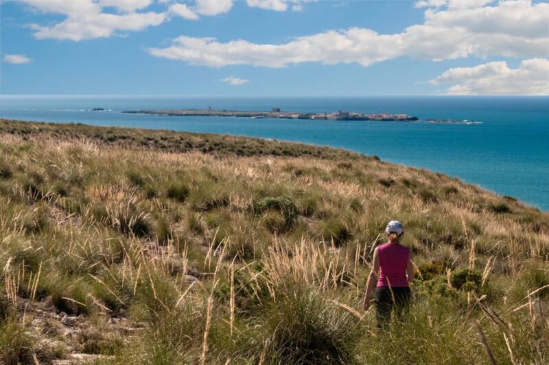 Guided Tour Santa Pola Bonita, Half Day With Transfer and Snack Included. - Key Points