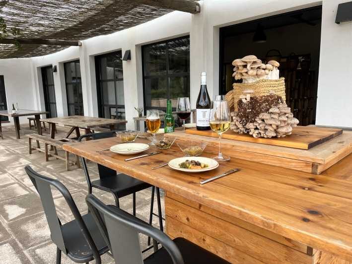 GUIDED TOUR + TASTE IN A MUSHROOM FARM - Discovering Menorca’s Mushroom Heritage