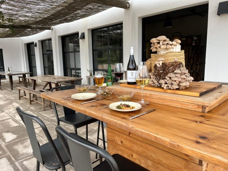 GUIDED TOUR + TASTE IN A MUSHROOM FARM - The Experience: What Sets It Apart