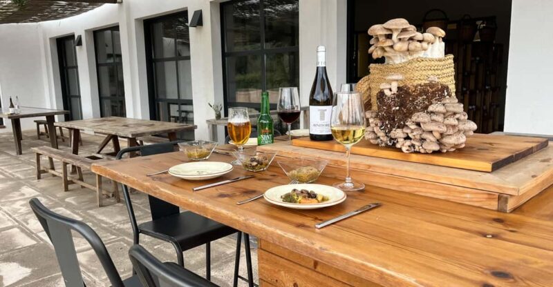 GUIDED TOUR + TASTE IN A MUSHROOM FARM - Good To Know