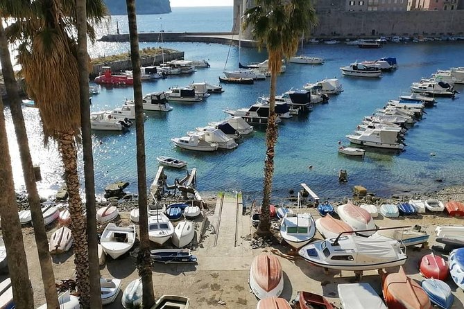 Guided Tour to Discover Dubrovniks Old Town, by Day or Night - Historical Significance of Old Town