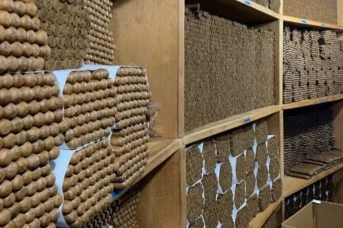 Guided Tour to Don Lucas Cigars Factory and Souvenirs Store - FAQ