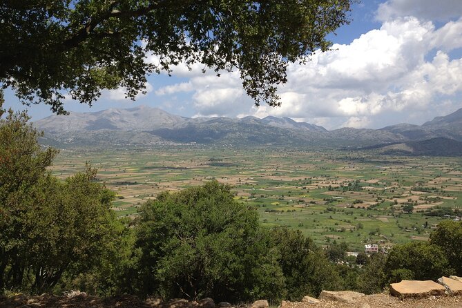 Guided Tour to Lasithi Plateau - Transportation Details