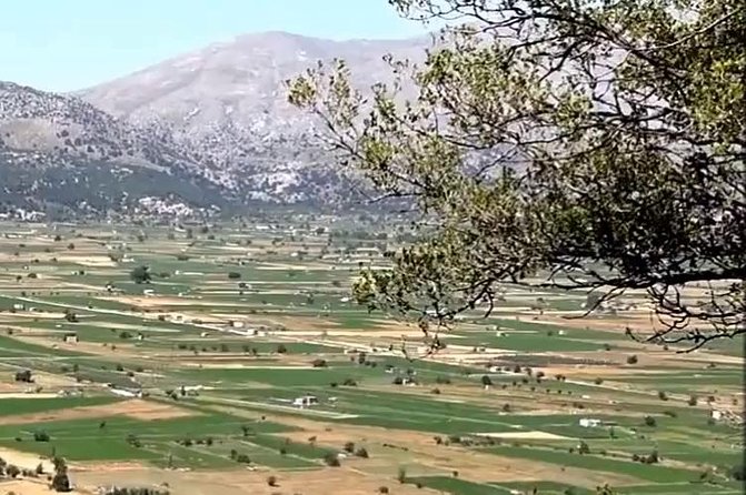 Guided Tour to Lasithi Plateau - Booking Process