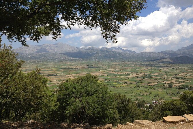 Guided Tour to Lasithi Plateau - Traveler Reviews and Insights
