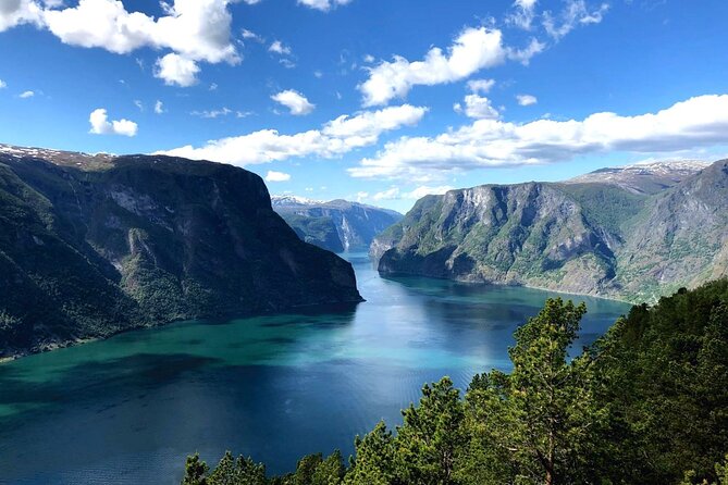 Guided Tour To Nærøyfjorden, Flåm And Stegastein - Viewpoint Cruise - Tour Itinerary