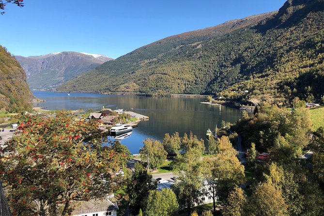 Guided Tour To Nærøyfjorden, Flåm And Stegastein - Viewpoint Cruise - Recap