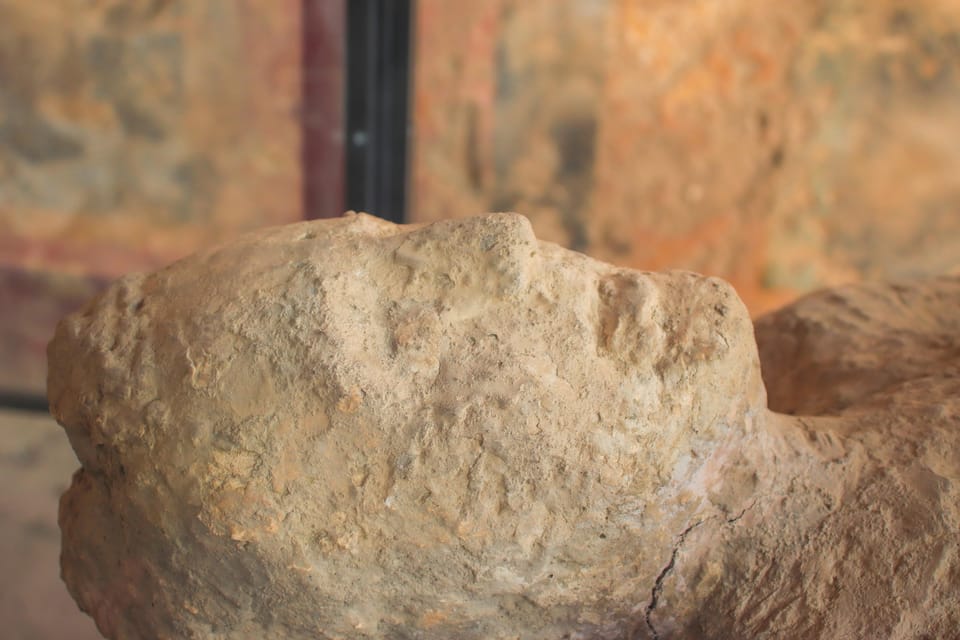 Guided Tour to Pompeii and Vesuvius from Sorrento - Final Thoughts: Is This Tour Right for You?