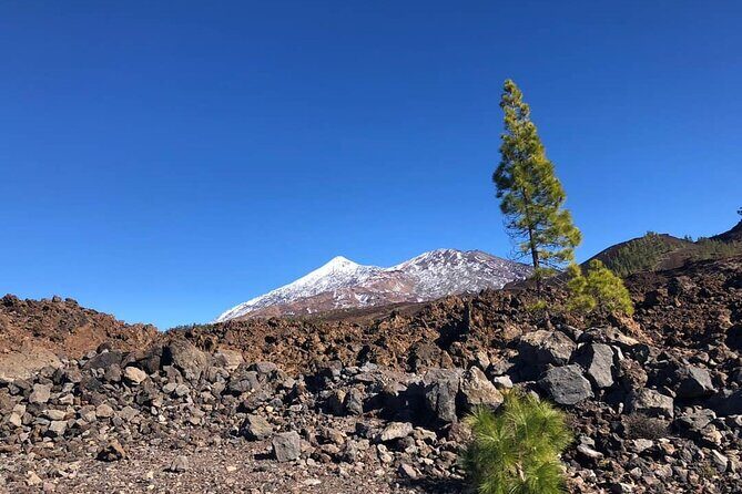 Guided Tour to Teide National Park in Tenerife - An In-Depth Look at the Tour Experience