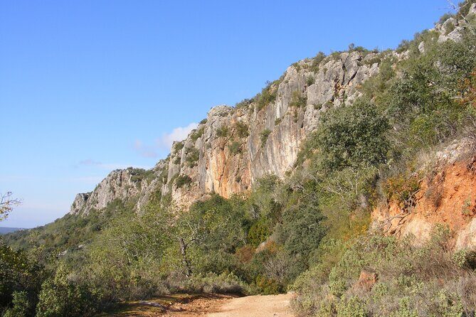 Guided Tour to the Geological Monument of Rocha da Pena - Who Should Consider This Tour?