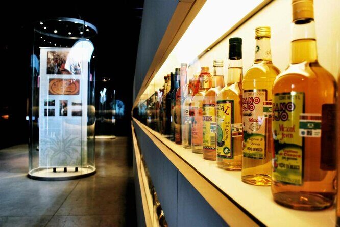 Guided Tour to the Tequila and Mezcal Museum - Key Points