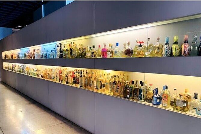 Guided Tour to the Tequila and Mezcal Museum - A Detailed Look at the Experience