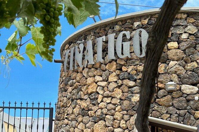 Guided Tour with 6 Wine Tasting - The Architecture and Scenic Surroundings