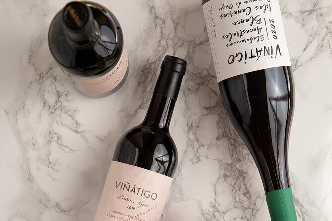 Guided Tour with 6 Wine Tasting - Price and Value for Money