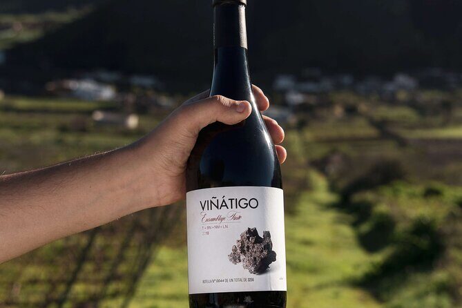 Guided Tour with 6 Wine Tasting - Accessibility and Practical Details