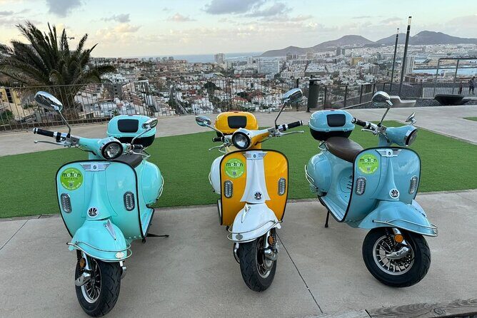 Guided Tour With Electric Moped - Authentic Experiences and Traveler Feedback