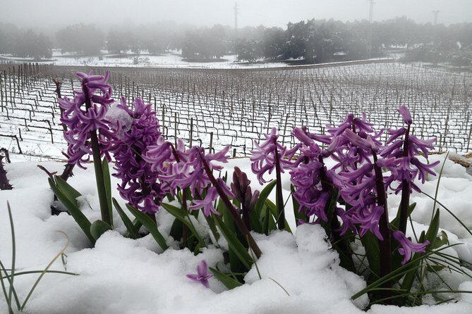 Guided tour with tasting - Who Will Love This Tour?