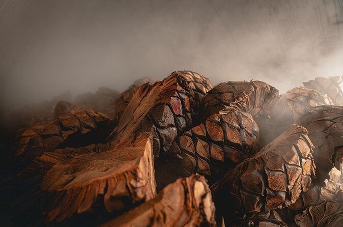 Guided Tour with Tasting in Tequilera Hacienda de Oro - Practical Details and What to Expect