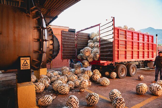 Guided Tour with Tasting in Tequilera Hacienda de Oro - Authenticity and Visitor Feedback