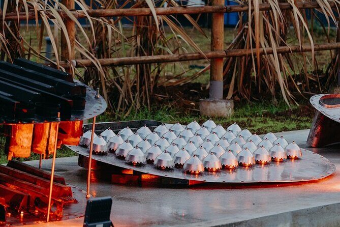 Guided tour with tasting of the Distillery Bonne Mère - Who Will Enjoy This Tour?