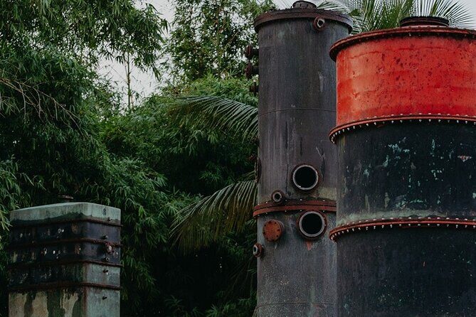 Guided tour with tasting of the Distillery Bonne Mère - The Sum Up