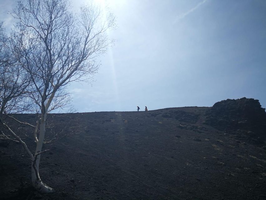 Guided Trekking on Etna Volcano With Transfer From Syracuse - Trekking Route