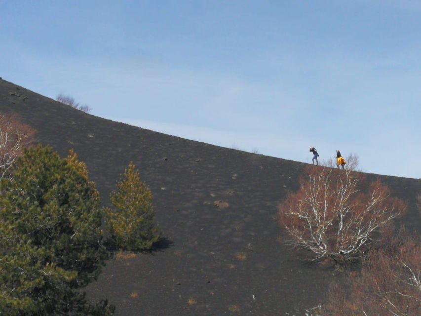 Guided Trekking on Etna Volcano With Transfer From Syracuse - Meal Exclusions