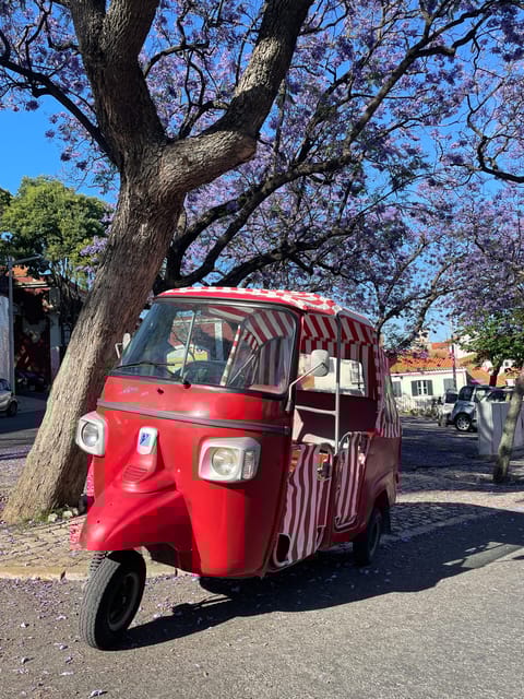 Guided tuk tuk tour in Lisbon's old neighborhoods - An In-Depth Look at the Itinerary  