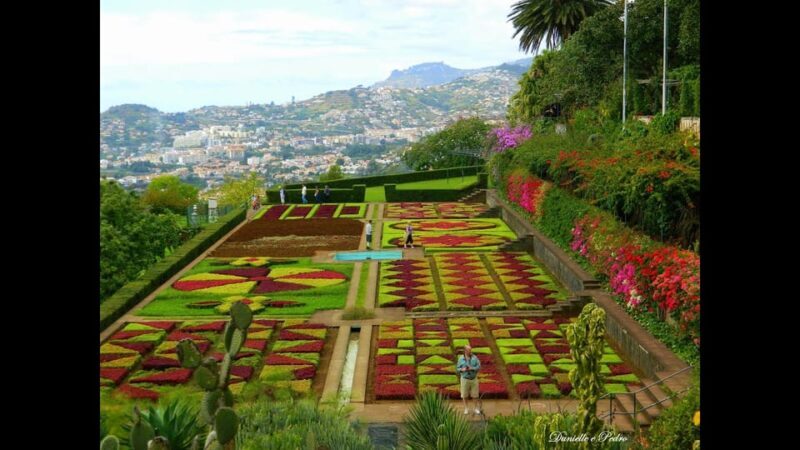 Guided Tuk-Tuk Tour to Botanical Garden (From Funchal) - Who Will Love This Tour?