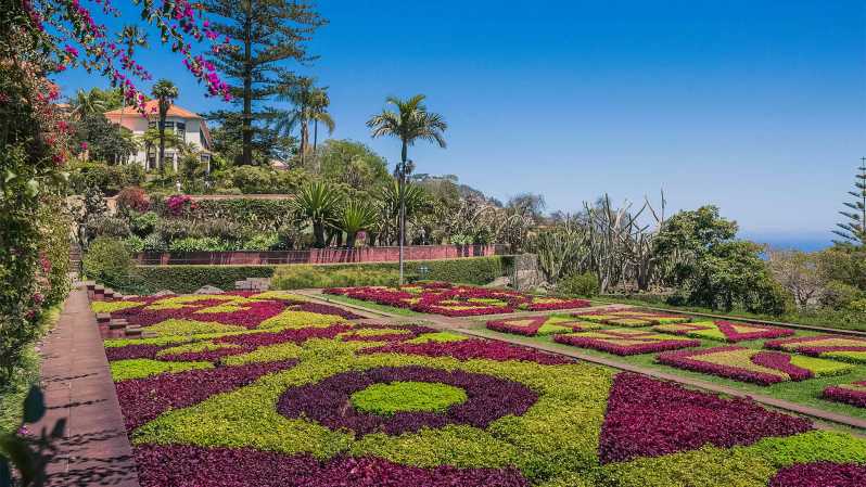 Guided Tuk-Tuk Tour to Botanical Garden (From Funchal) - FAQs