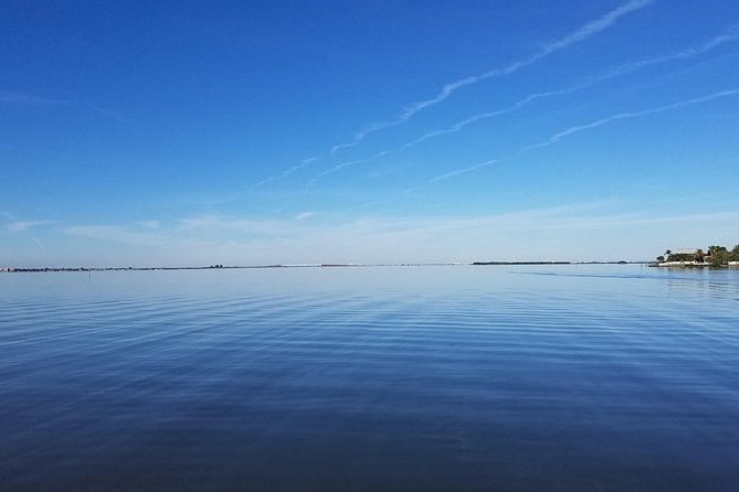 Guided Two Hour Boat Tour of the Indian River Lagoon - Wildlife Sightings