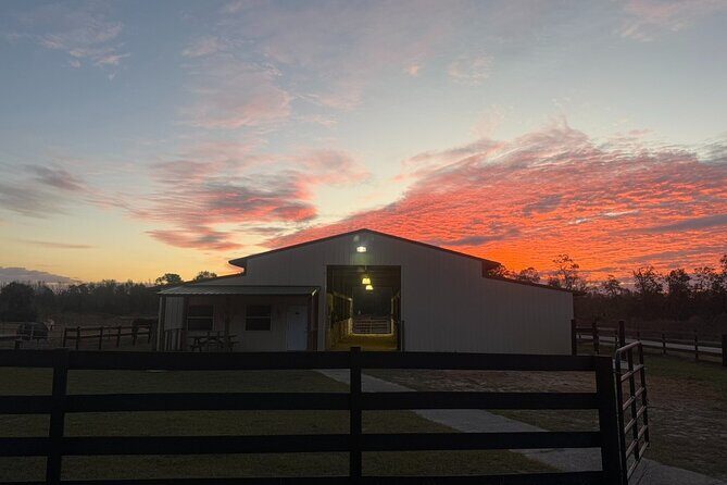 Guided Two Hour Horseback Trail Ride in Central Florida - The Sum Up