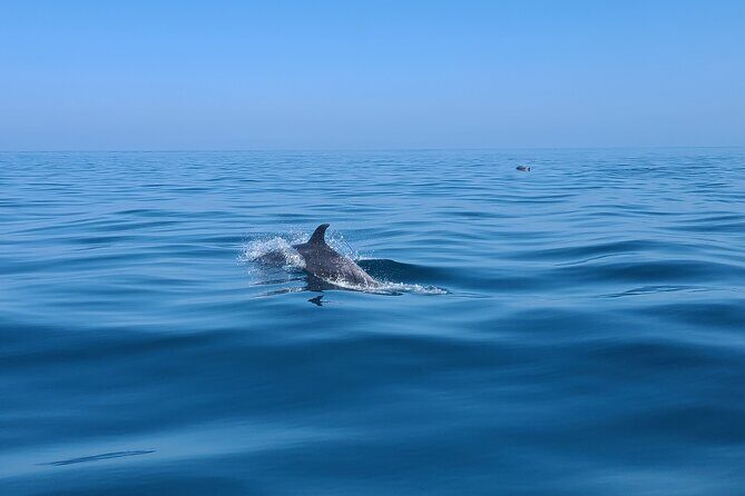 Guided Two hours Jetski Coastal Tour - What to Expect on the Tour