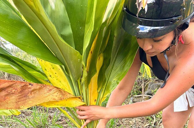 Guided UTV Ride-Along Tour on the Big Island - The Sum Up